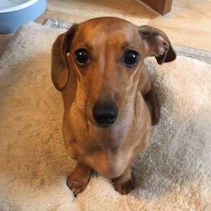 Meet your Posher, Allysa